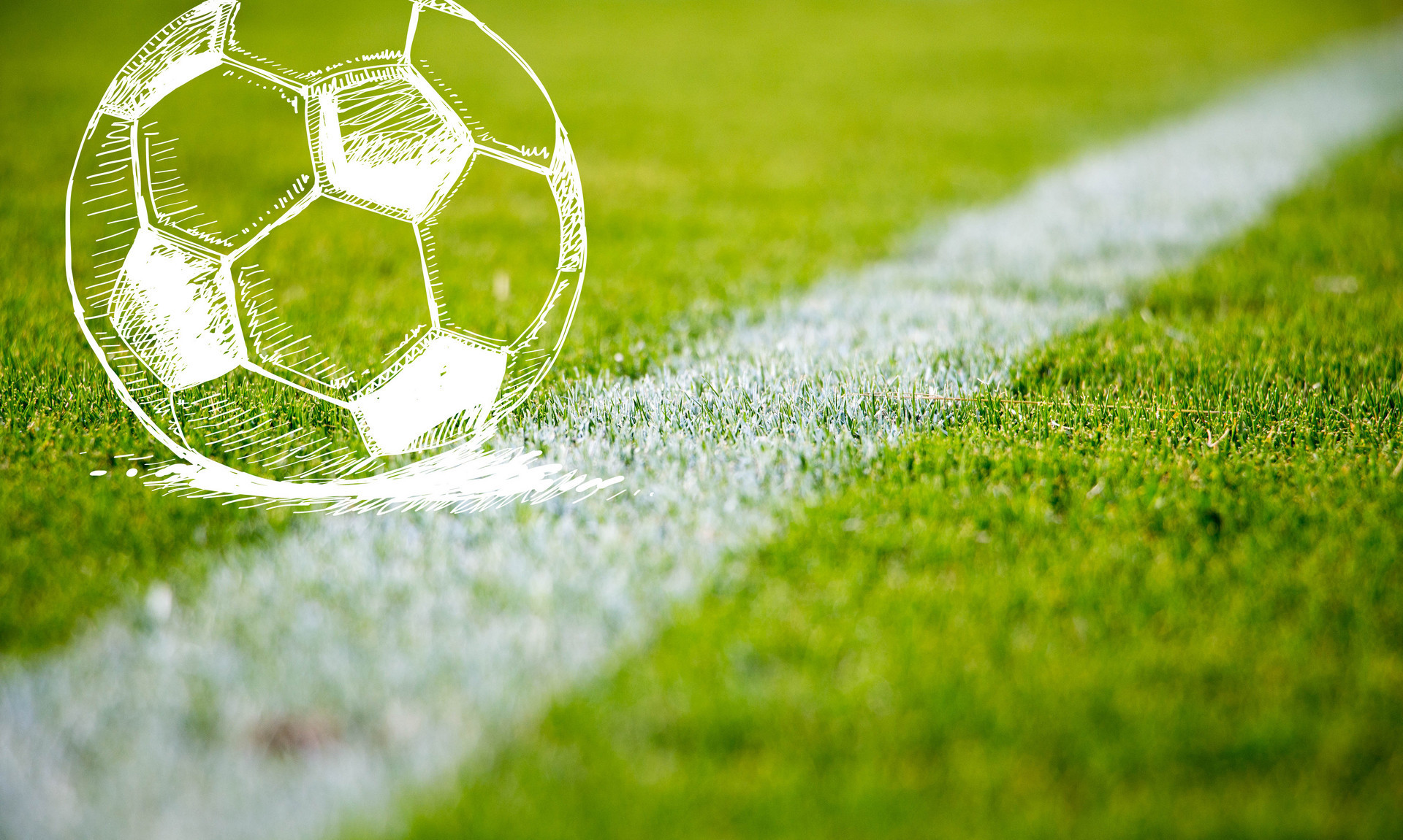 击败黄蜂 击败黄蜂