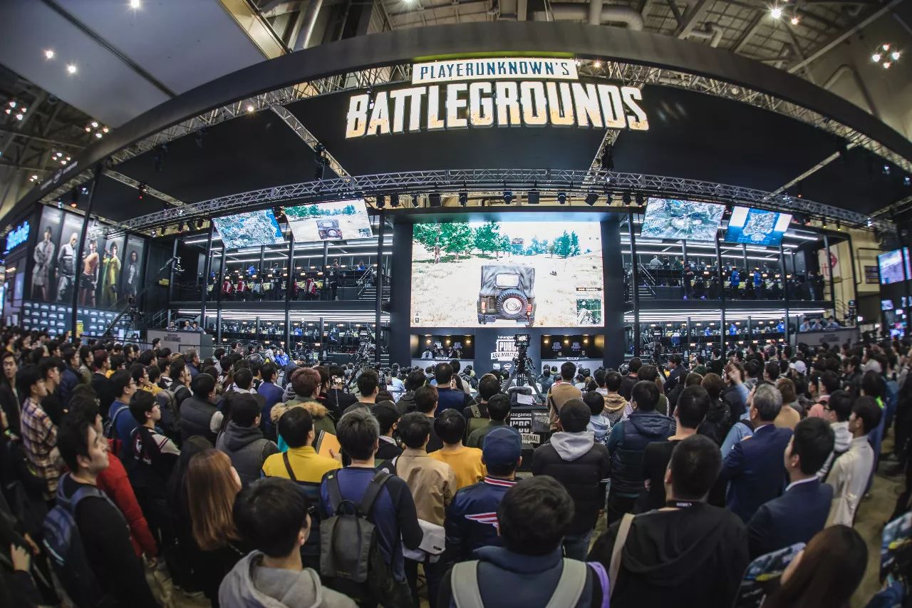 期待他们在 期待他们在