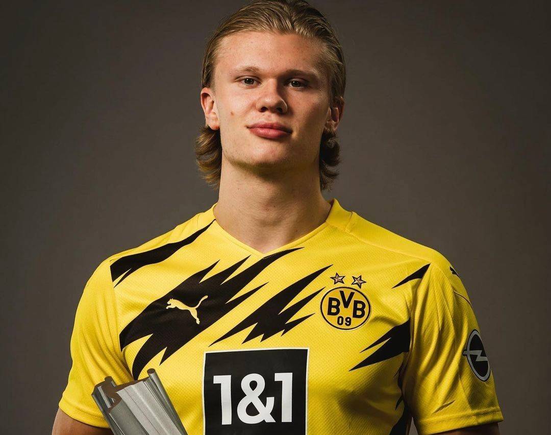 队期望值 队期望值